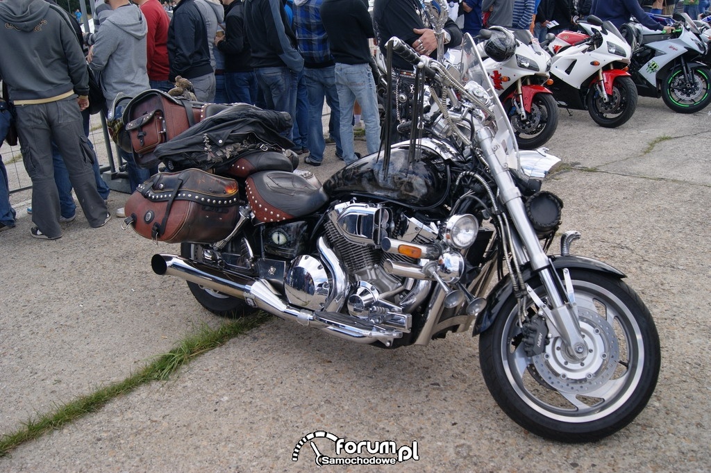 Honda intruder #7