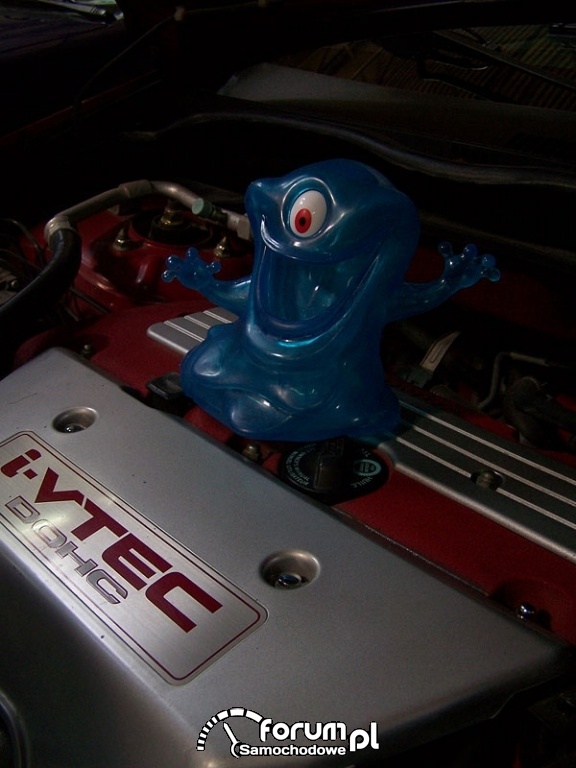 Tuning Show