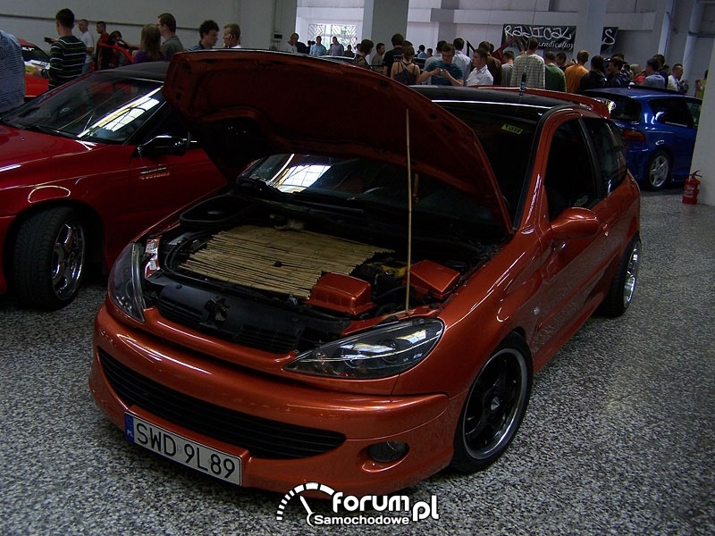 Tuning Show