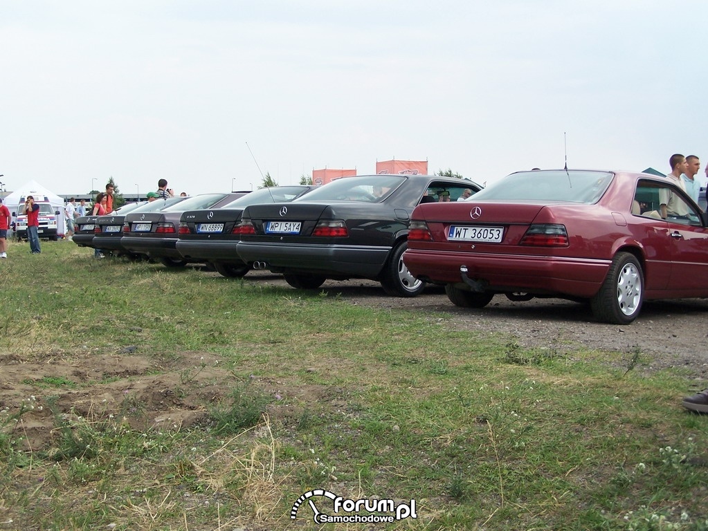 Allegro Power 2008