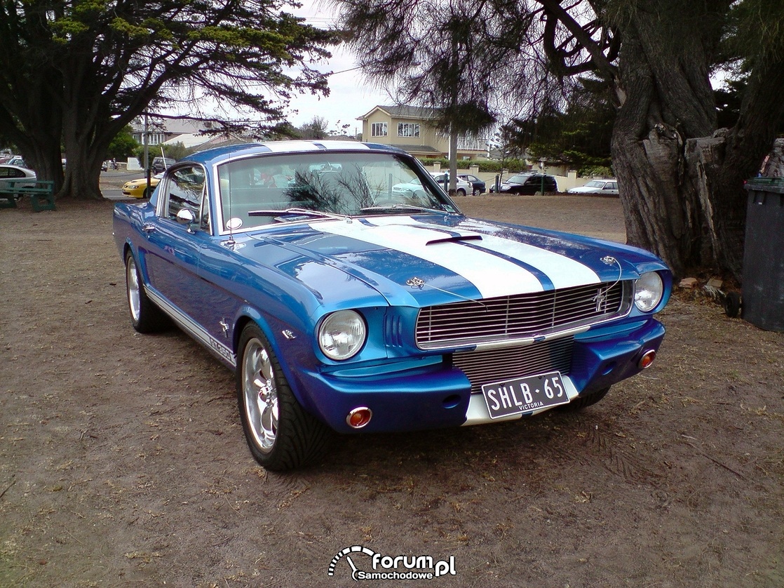 Shelby - american muscle cars