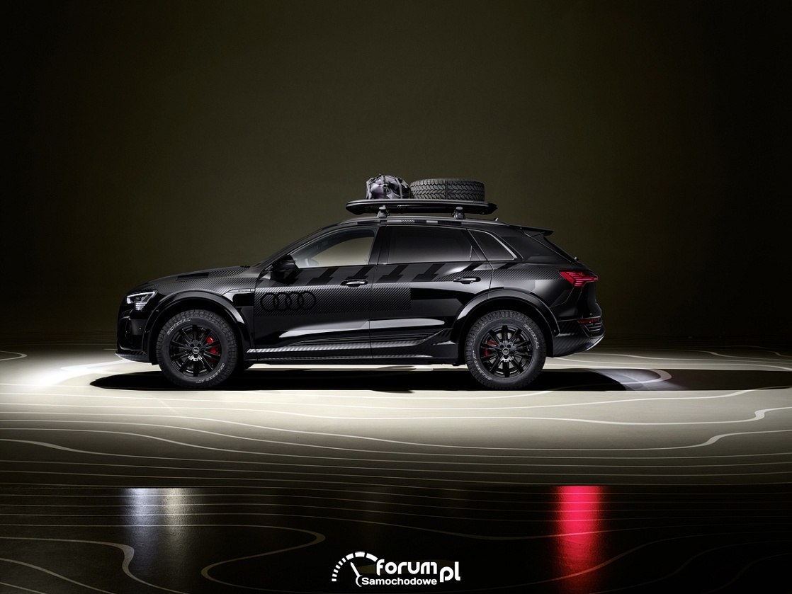 Audi Q8 e-tron edition Dakar, bok