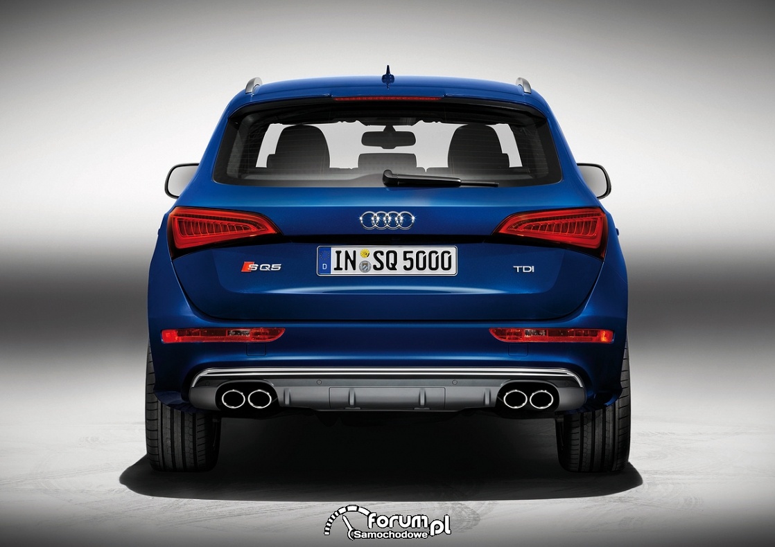 Audi SQ5 TDI, tył