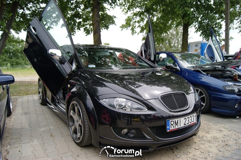Lambo doors - Seat Leon