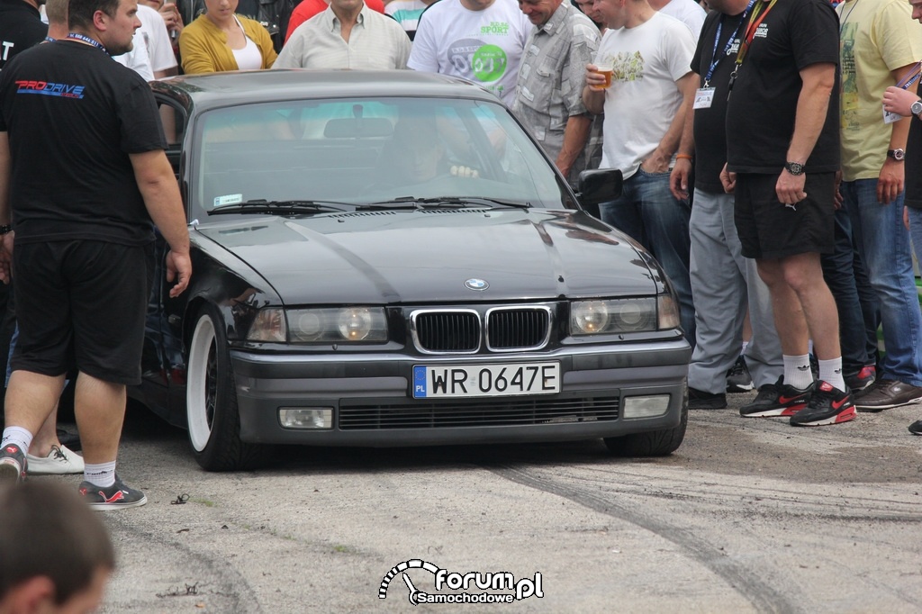 BMW E36 serii 3 coupe, publiczność