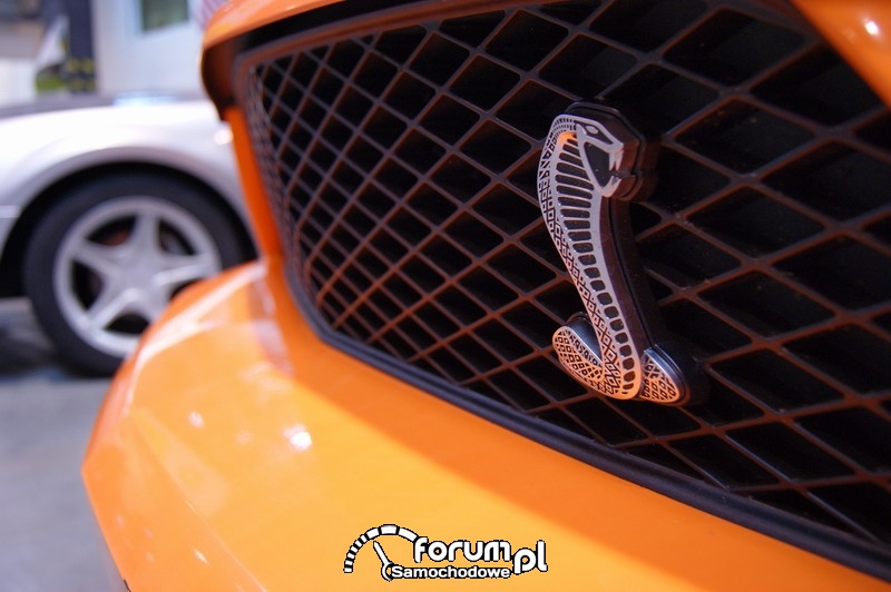 Mustang - emblemat na atrapie