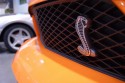 Mustang - emblemat na atrapie