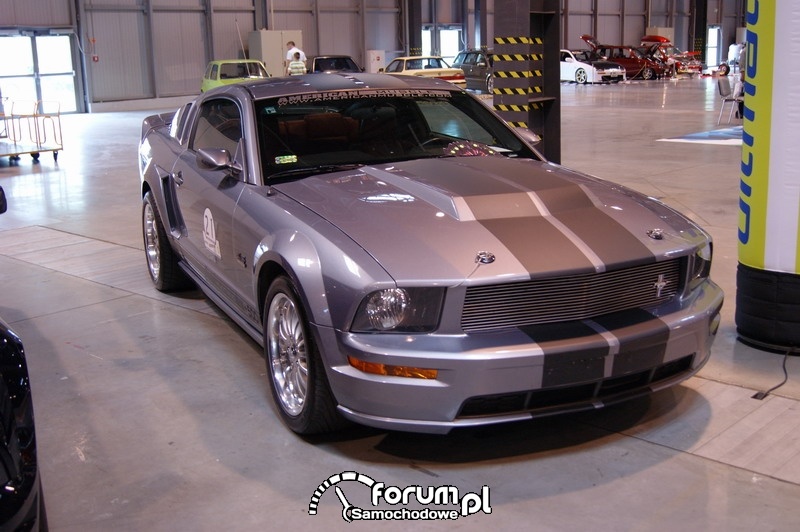 Mustang