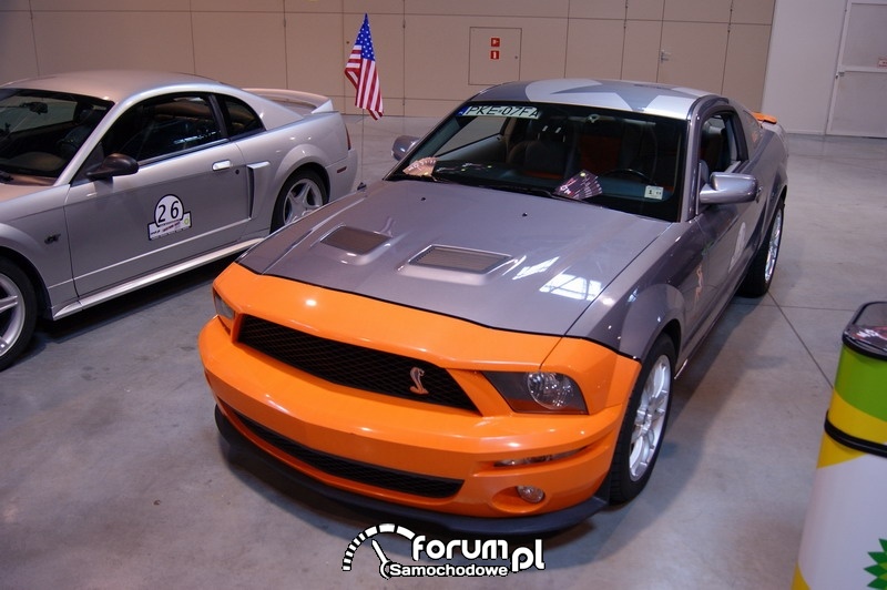 Mustang