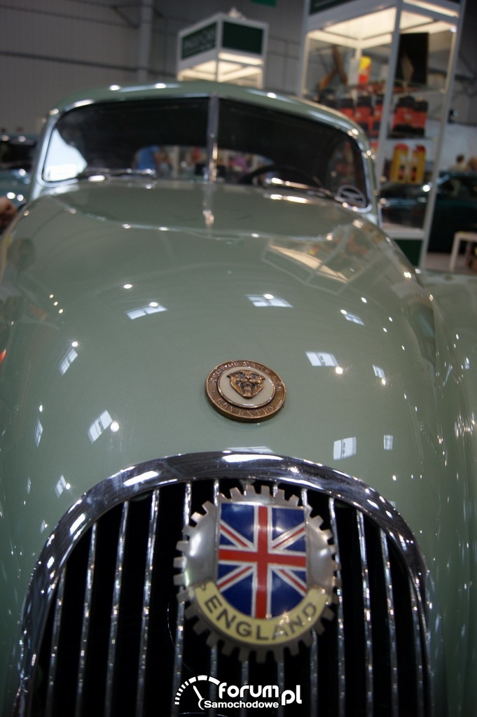 Jaguar, Anglia