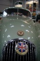 Jaguar, Anglia