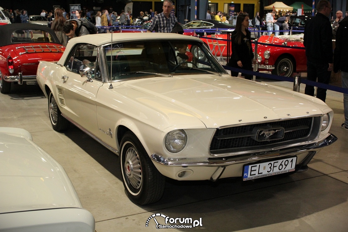 Ford Mustang, Colorado Springs