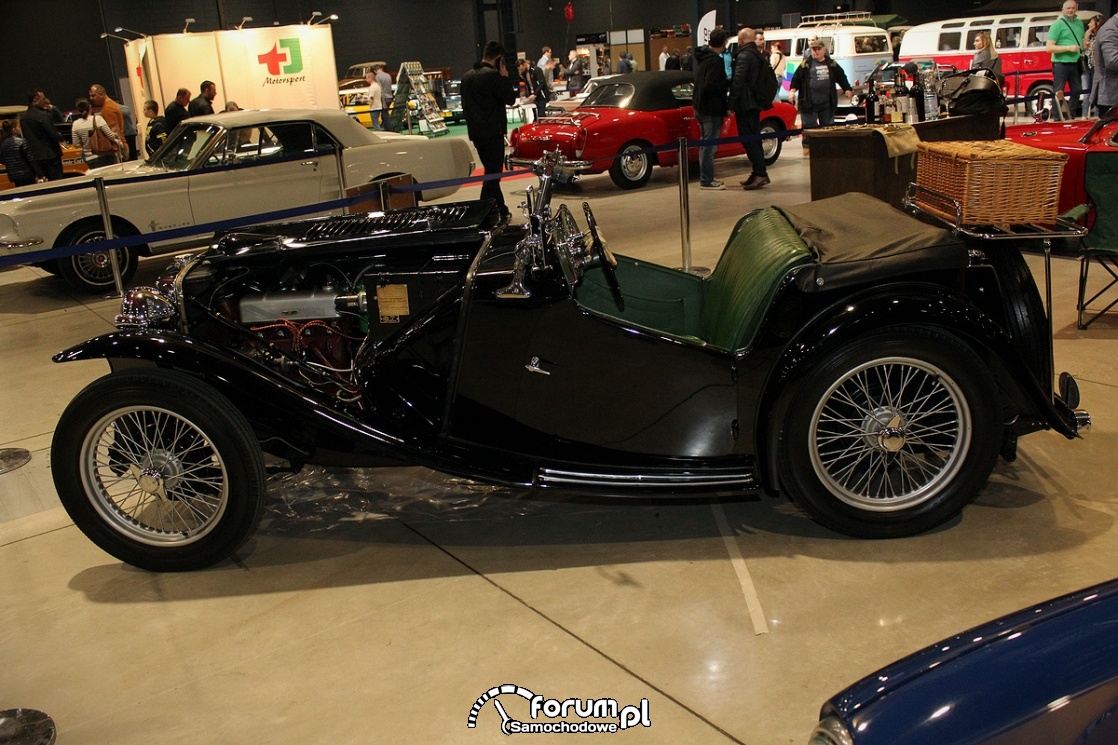 Gentry Mg Triumph, bok