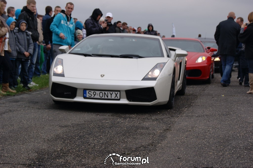 Samochody egzotyczne, Lamborghini Gallardo