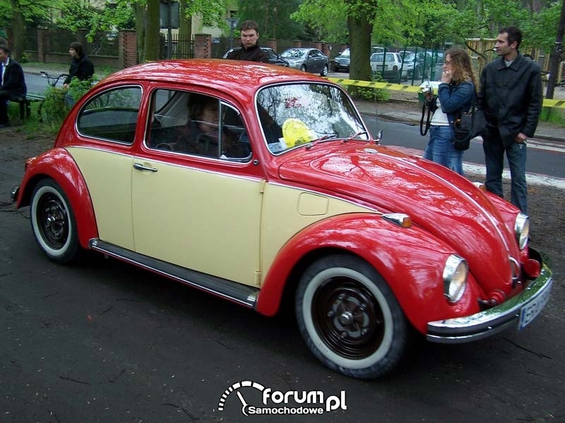 Autosacrum 2008