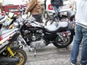 Autosacrum 2008