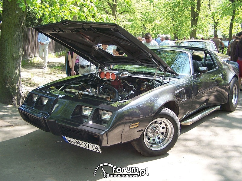 Autosacrum 2009