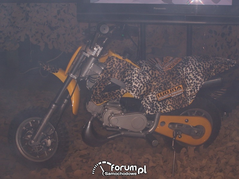 Targi AutoSalon i AutoSerwis