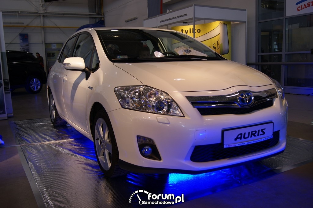 Targi AutoSalon, bass i tuning