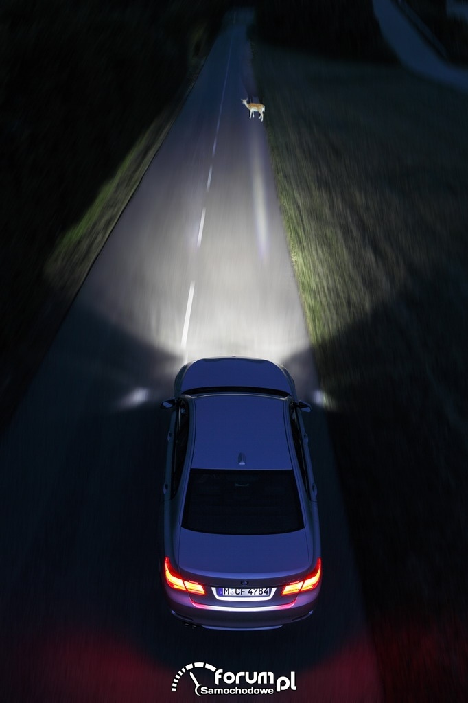 BMW Connected Drive - Night Vision, dynamiczne oświetlenie punktowe, 2