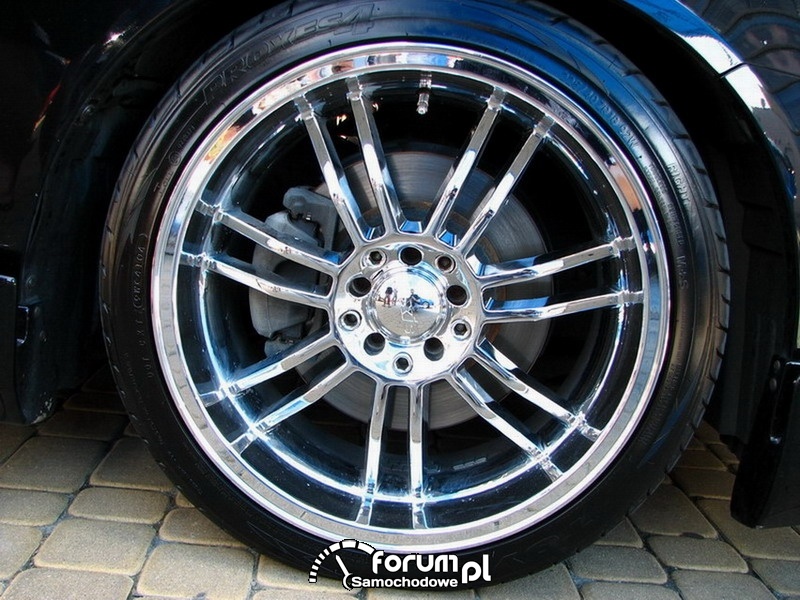 Car audio, video 2007