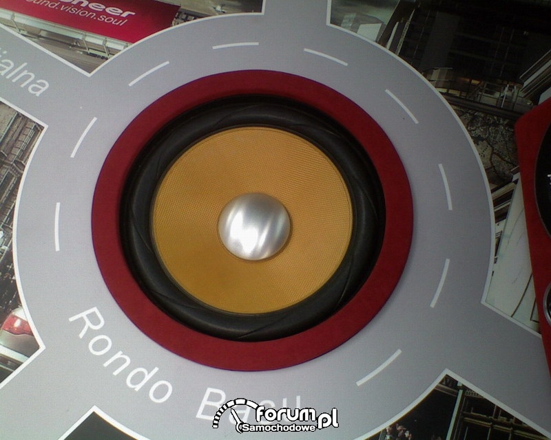 Car audio, video 2007