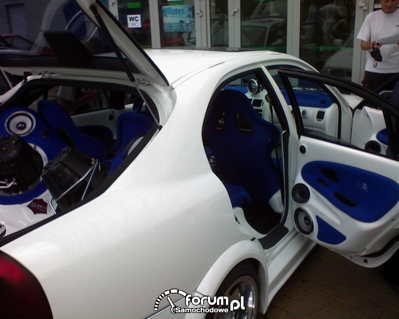 Car audio, video 2007