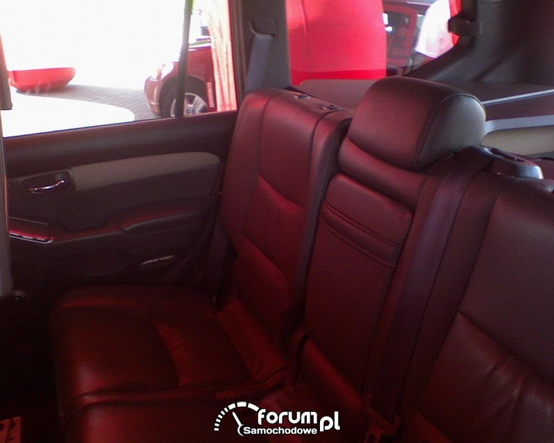Car audio, video 2007