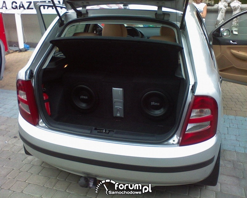 Car audio, video 2007