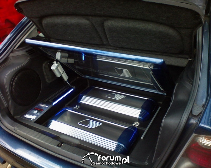 Car audio, video 2007