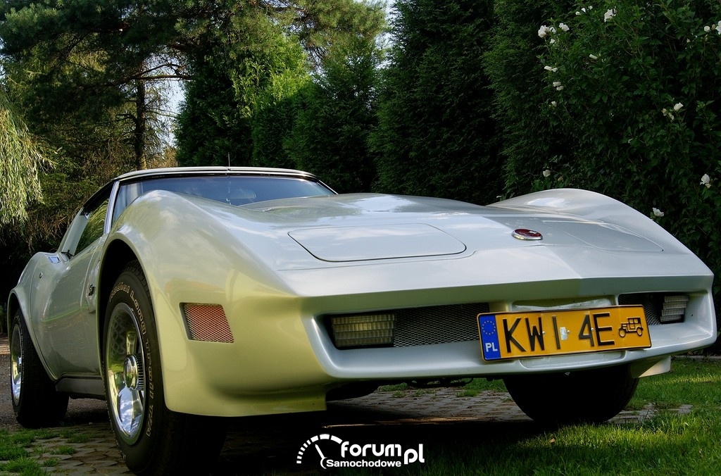 Chevrolet Corvette C3 Stingray, 6