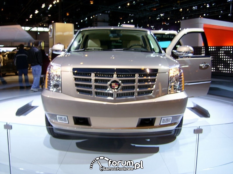 Chicago Auto Show 2008