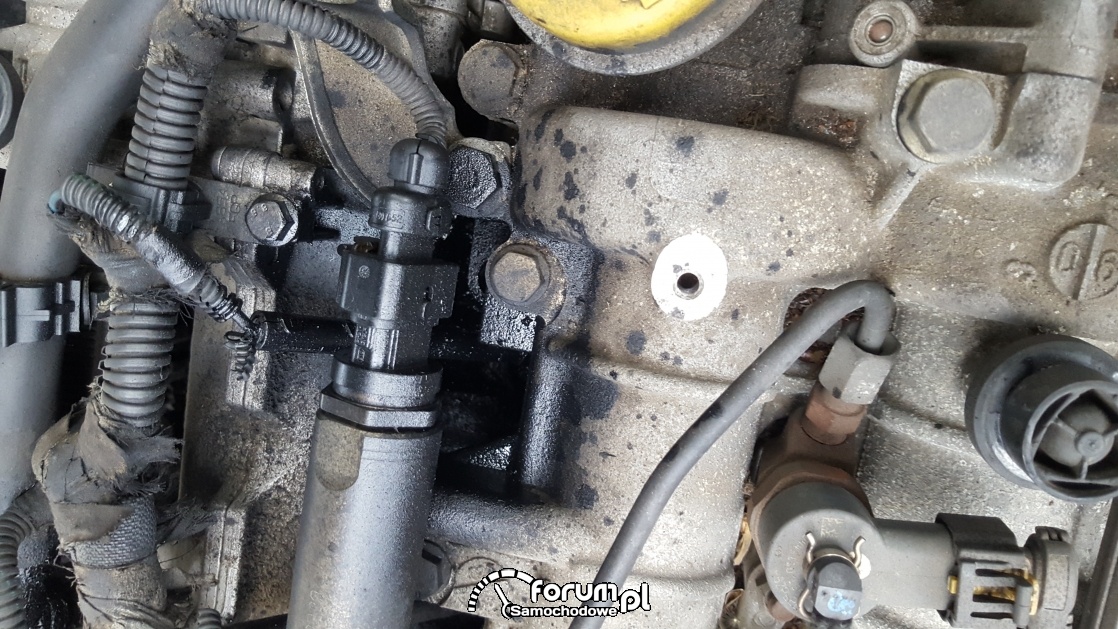 Astra H 1,9 CDTI 150KM wyciek oleju, proszę o pomoc w zdiagnozowaniu p
