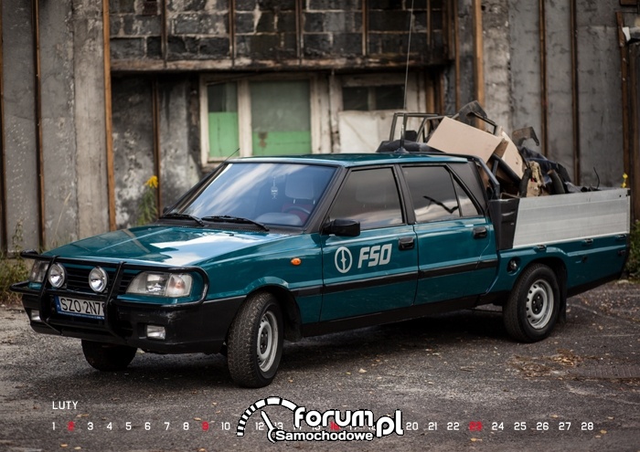 POLONEZ ANALOG-cover
