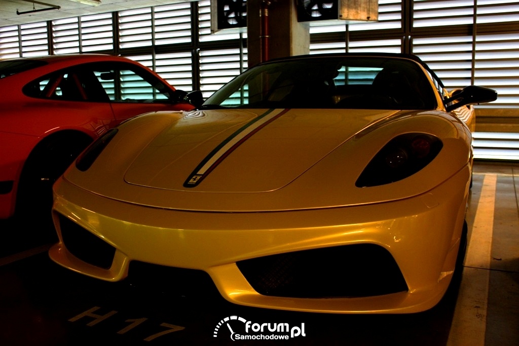 GTP Light
