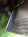 IMG 0010