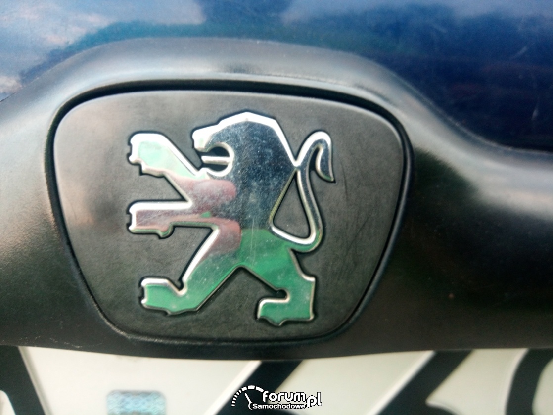Tylny emblemat Peugeot 206