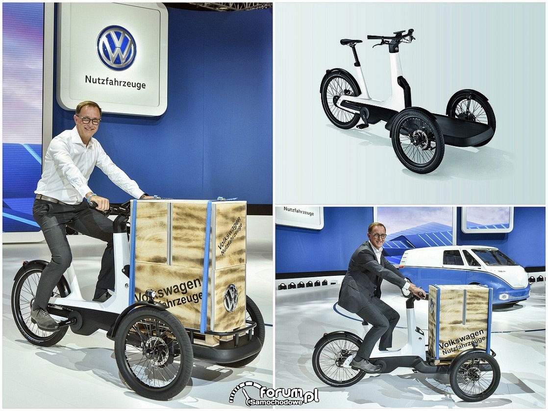 Cargo e-Bike - elektryczny rower do transportu towarów
