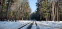 Droga przez las, zima, śnieg, koleiny w śniegu