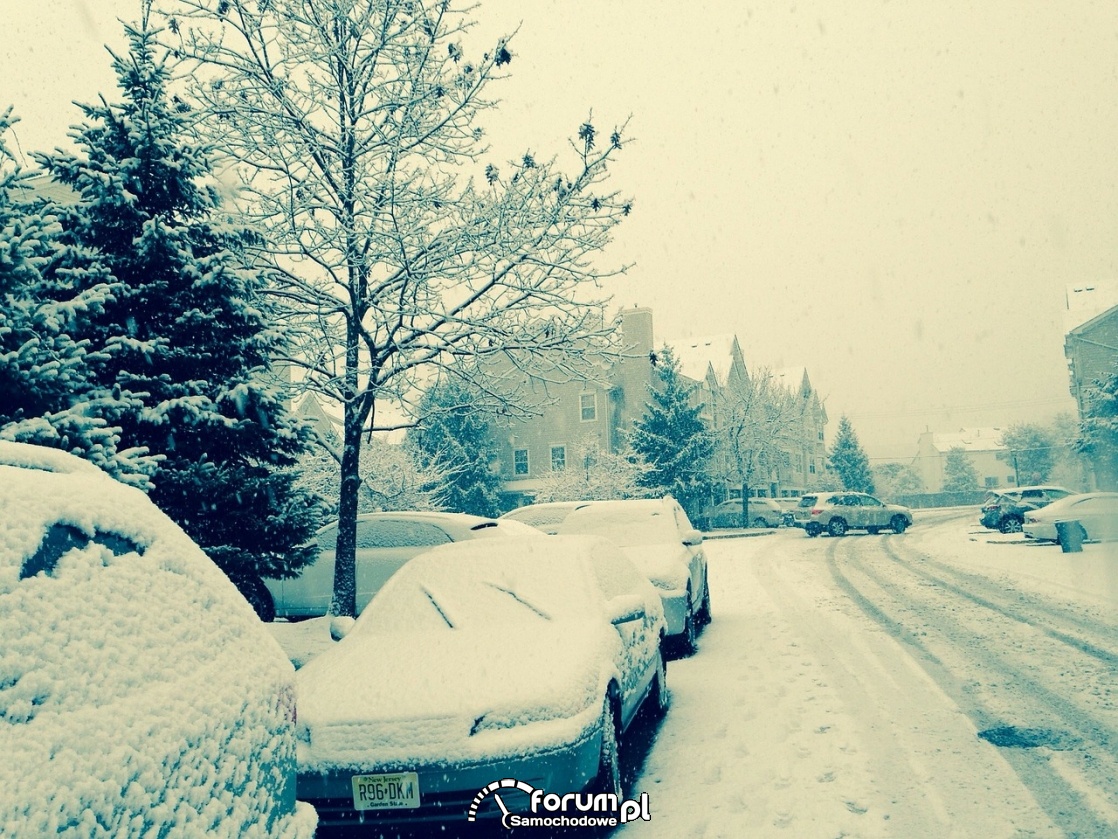 Samochody zasypane śniegiem, zima