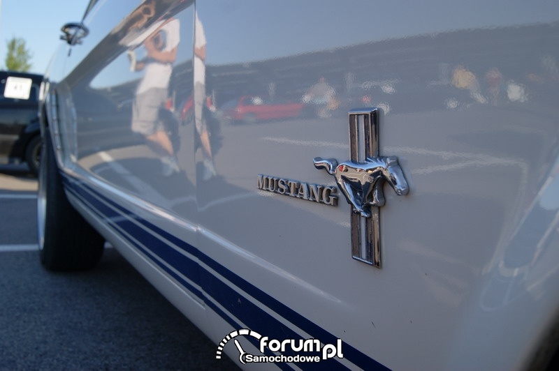 Mustang