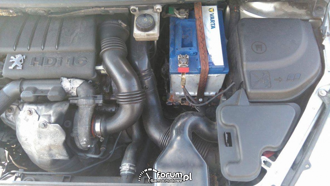 Peugeot 307 1,6Hdi Problem Z Odpalaniem Na Mrozie : Silnik