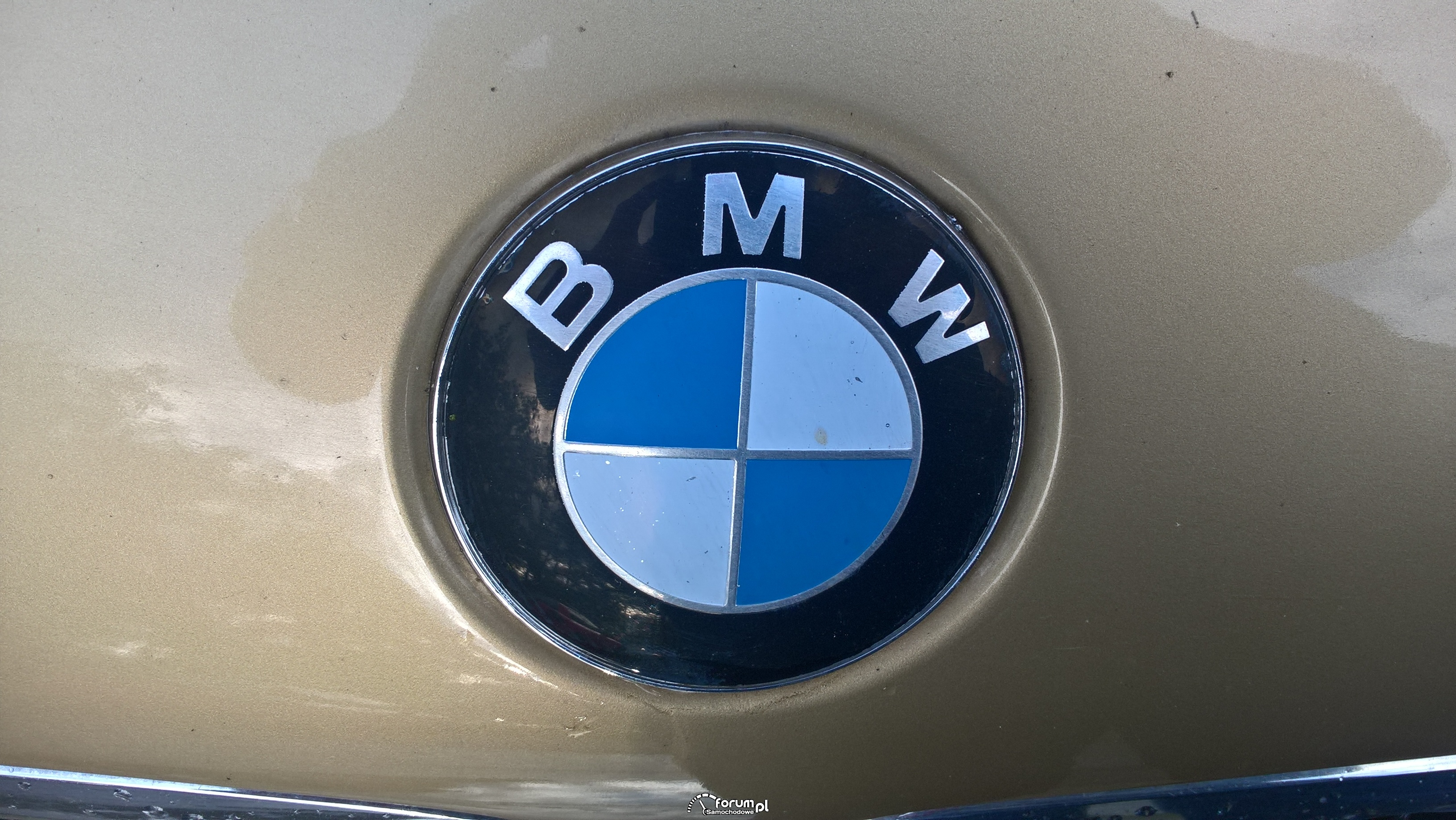 BMW e46 znaczek zdjęcie kraskeusz