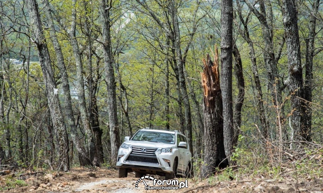 Lexus zbudował plac zabaw dla fanów off-roadu. I pięknych widoków