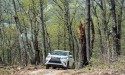 Lexus off-road adventure