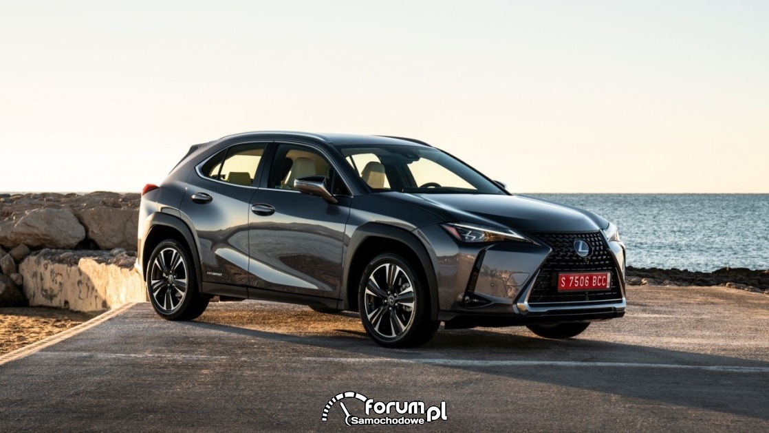 Lexus UX 250h, mercury grey