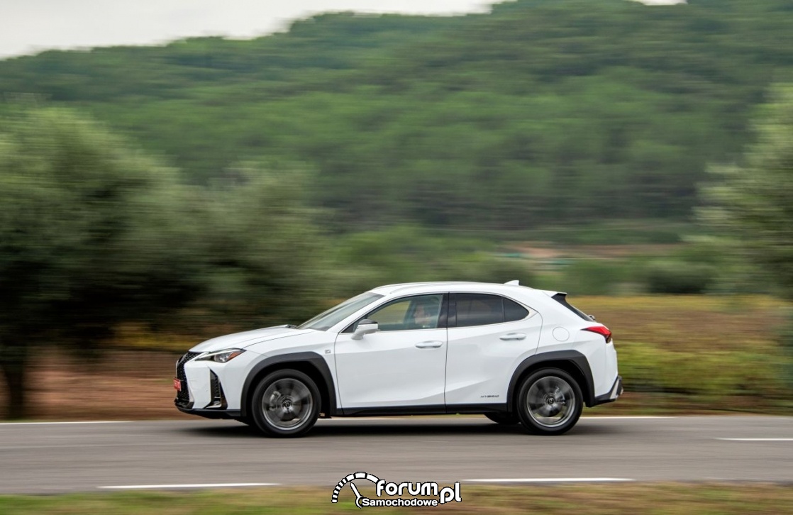 Lexus UX 250h, white, bok