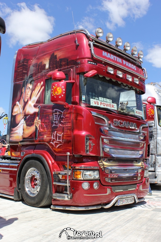 Scania R730, aerografia