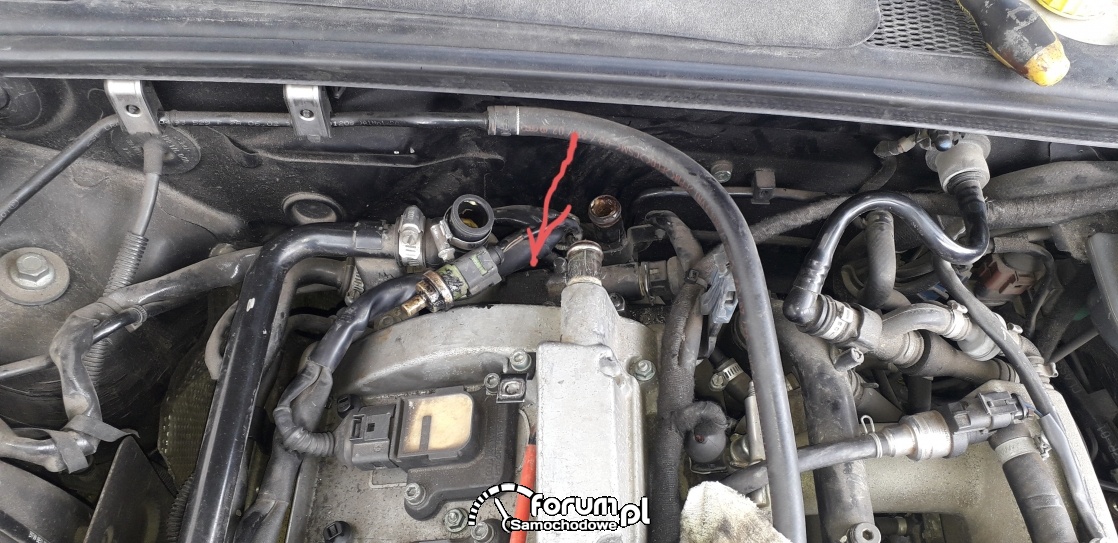 umiejscowienie czujnika temp płynu chłodzącego audi a4 b6 1.8T