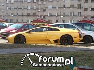 Napotkane w Zawierciu - Murcielago